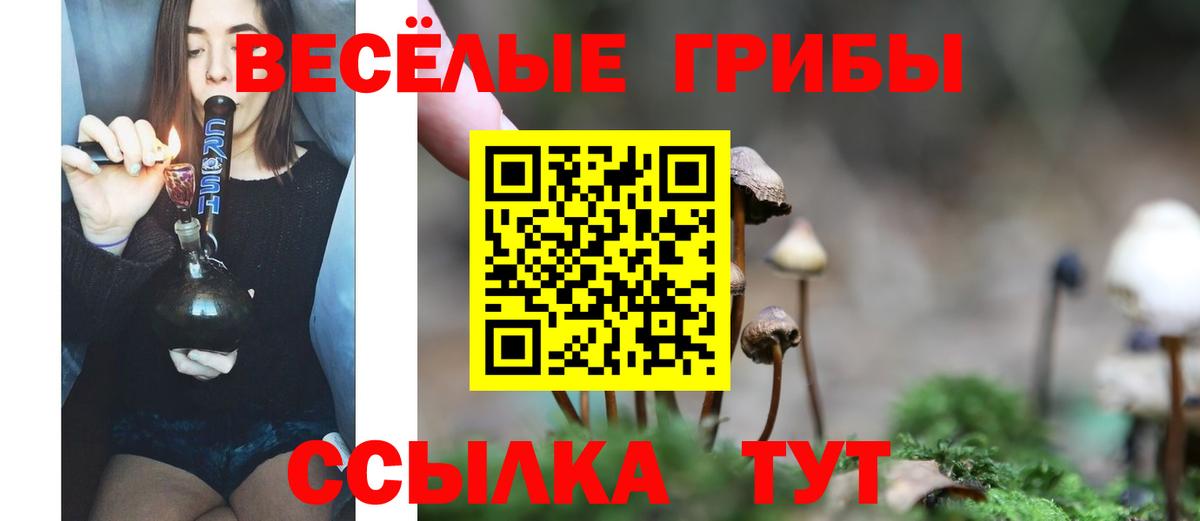 Галлюциногенные грибы Psilocybe  Псилоцибиновые грибы мухоморы  Россошь  Вход с VPN 